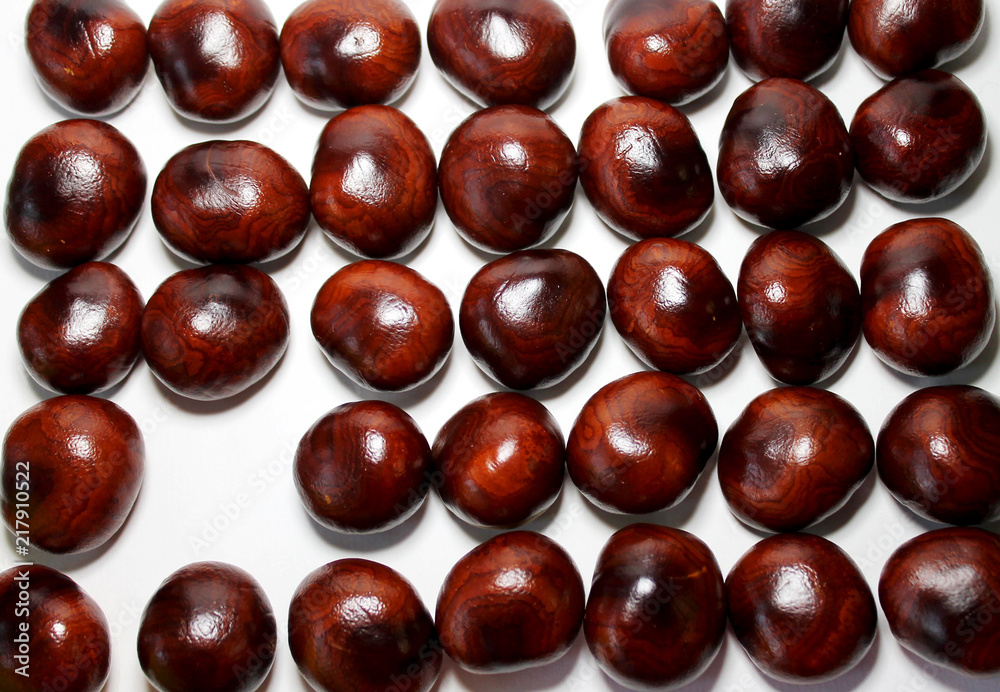 a scattering of dark chestnut seeds on a white background that stand in several rows and are dense to each other a scattering of dark chestnut seeds on a white background that stand in several rows and are dense to each other