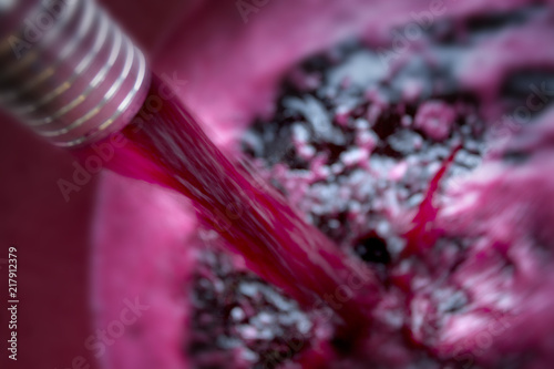 Bolgheri, Tuscany, Italy - Processing of the vineyards photo