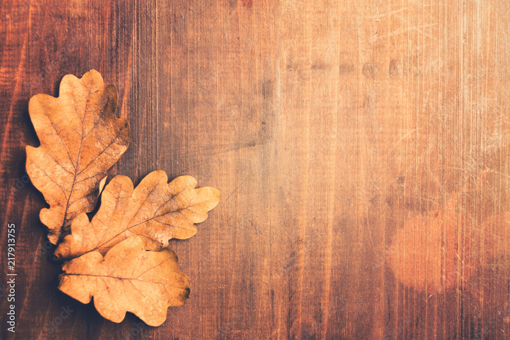 Toned autumn photo with oaken leaves over wooden table Toned autumn photo with oaken leaves over wooden table