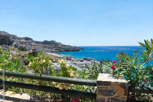 Crete. Flowers on a Mountain road near the sea photo