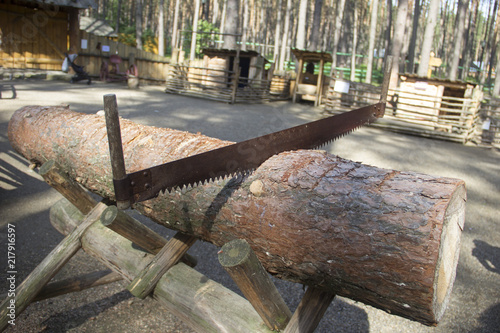 hand saw for two