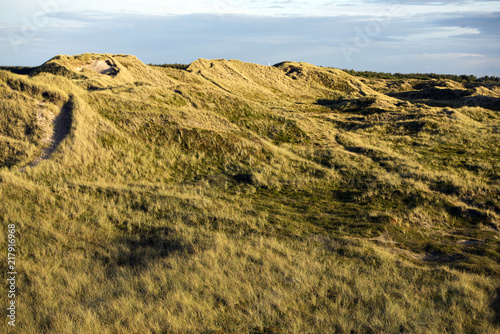 Dünenlandschaft am Holmsland Klit in Dänemark photo