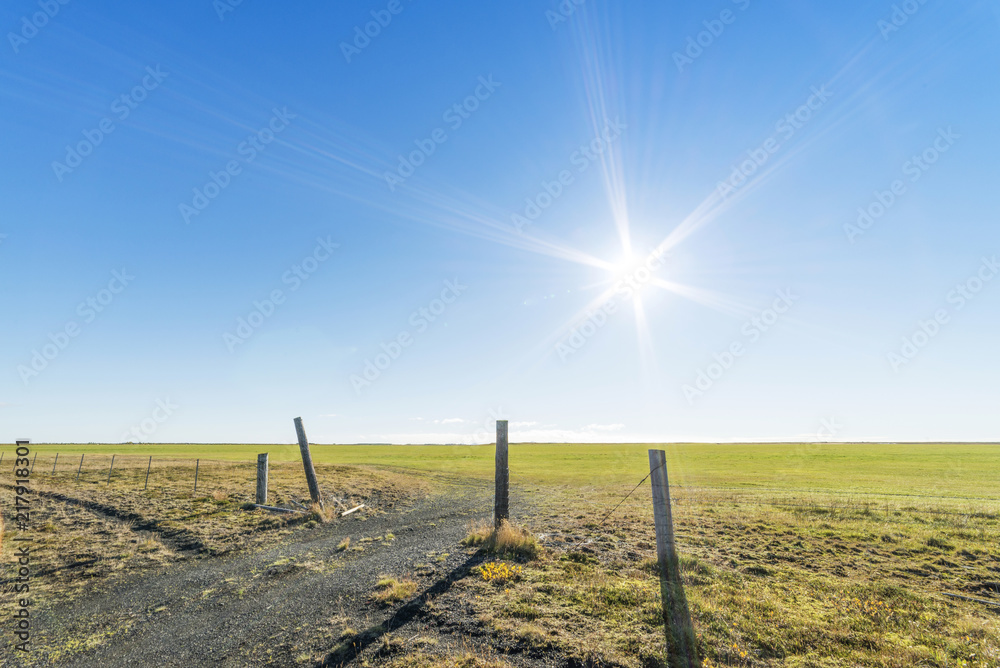 Fototapeta premium The entrance to meadow and fence.ฺ Beautiful blue sky day. Iceland