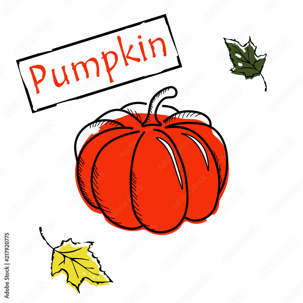 Pumpkin with leaf icon vector illustration on white background