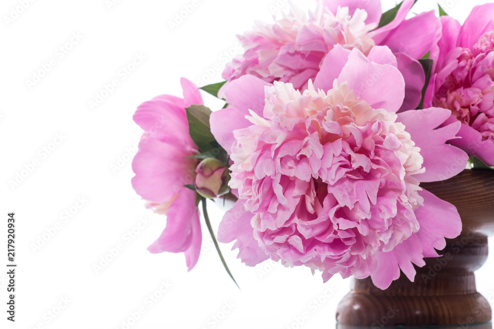bouquet of blooming peonies on white background bouquet of blooming peonies on white background
