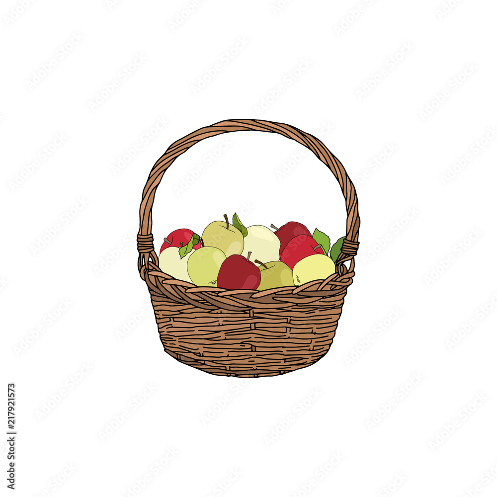 Basket with different kinds of apples isolated on a white background. Autumn harvest symbol, logo, emblem. Vector illustration with fruits. 
