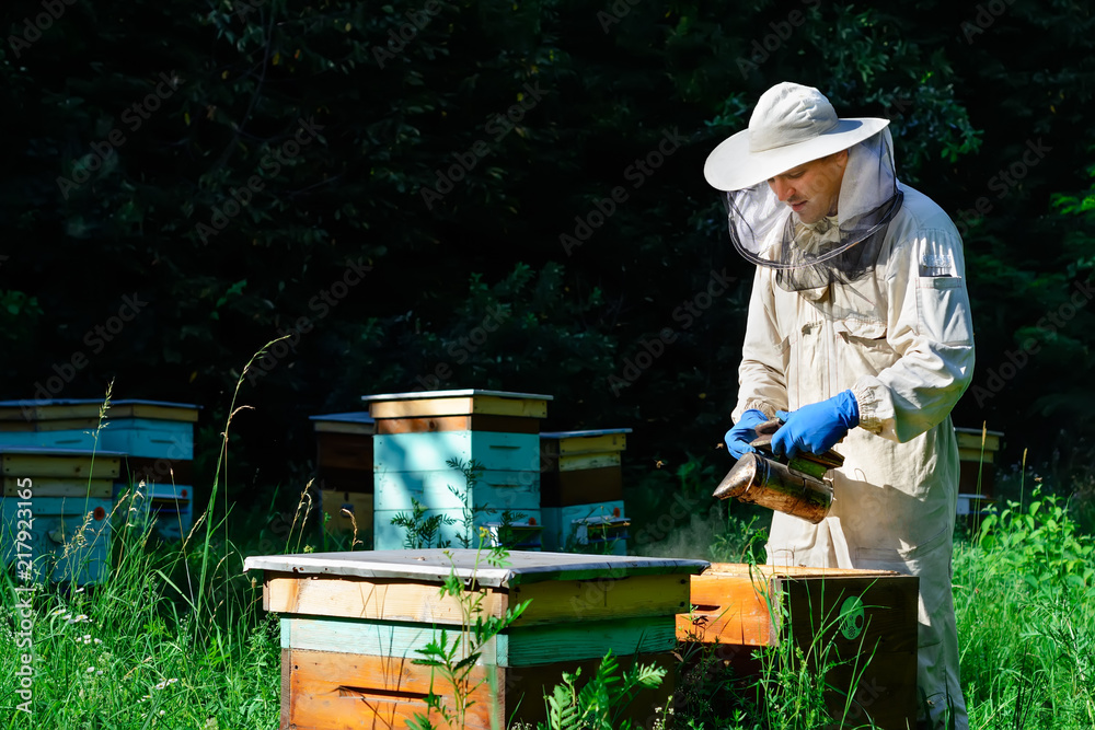 A young man beekeeper works on an apiary near bee hives. Natural honey directly from the hive. Top view. A young man beekeeper works on an apiary near bee hives. Natural honey directly from the hive. Top view.