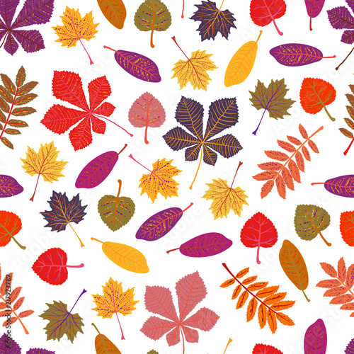 Seamless pattern Autumn leaves yellow foliage vector. Season of orange leaves, illustration collection of october leaves. On White Background