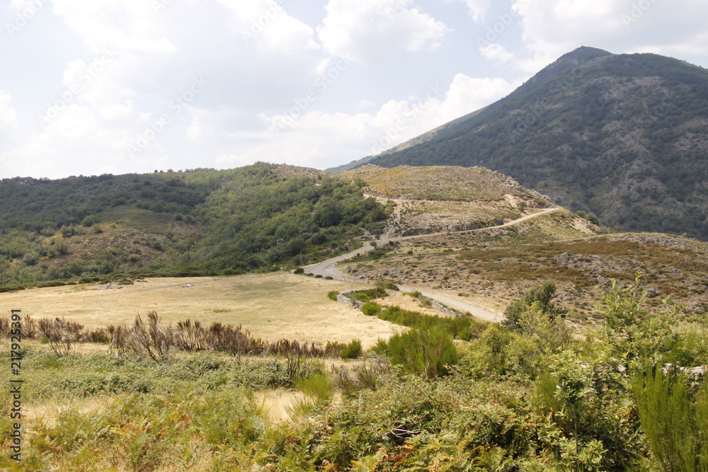 Fototapeta premium Paysage de montagne dans les Cévennes 