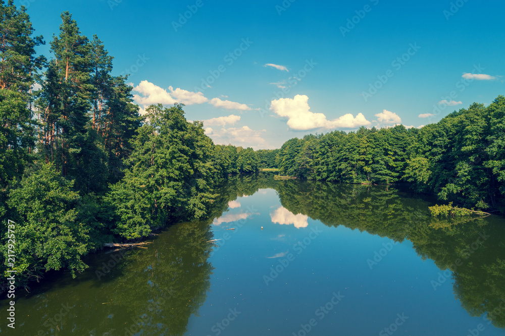 View of the calm lake in the forest. Beautiful wilderness View of the calm lake in the forest. Beautiful wilderness