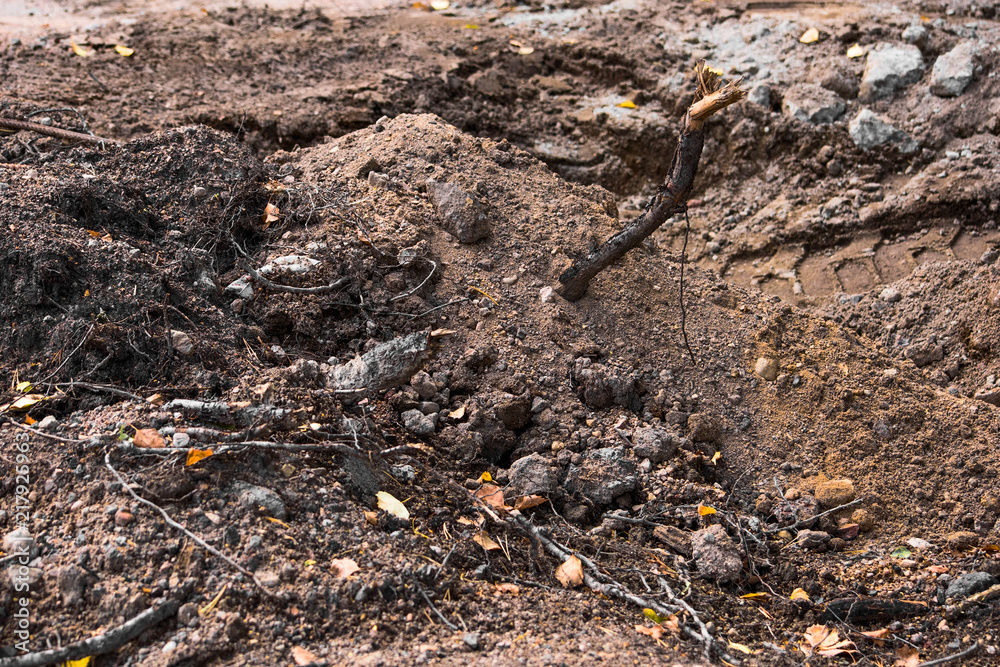 Heap of soil, roots and stones and a trace from the tire Heap of soil, roots and stones and a trace from the tire