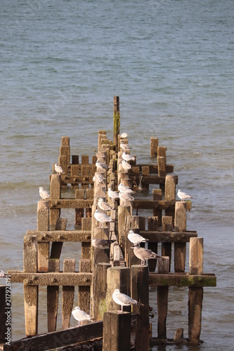 making family fun and memories at the beach.walcott  photo