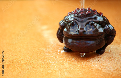 Money Toad Water drops 