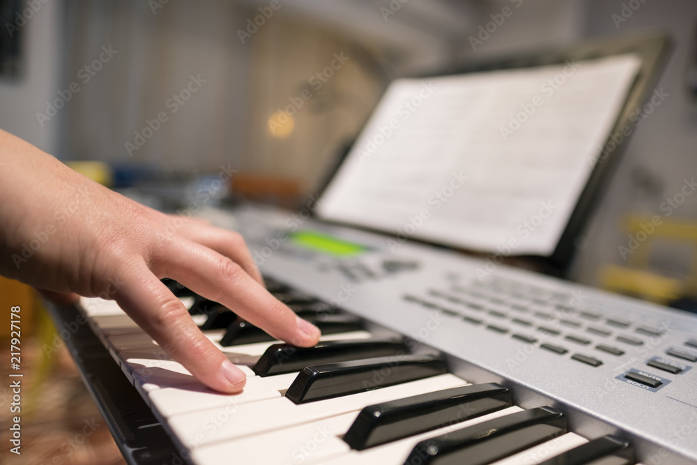 Piano Musician Music Keyboard Lesson Piano Musician Music Keyboard Lesson
