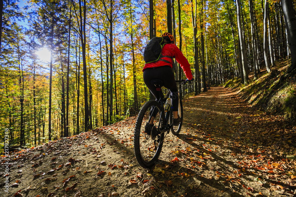Naklejka premium Cycling, mountain bikeing woman on cycle trail in autumn forest. Mountain biking in autumn landscape forest. Woman cycling MTB flow uphill trail.