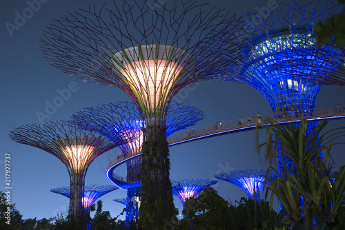 Supertrees in den Bay Gardens in Singapur