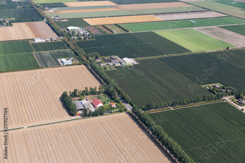 Fotografie, Obraz Aerial view Dutch polder Noordoostpolder with farmhouses and agricultural landsc
