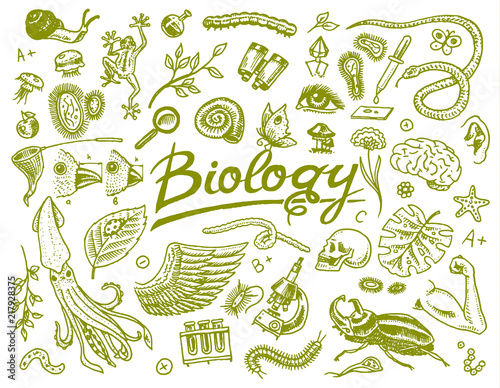 Scientific laboratory in Biology. Icon Set of Biochemistry Research. Living creatures organisms molecules. Medicine in school. Education and Science. engraved hand drawn in old sketch vintage style.
