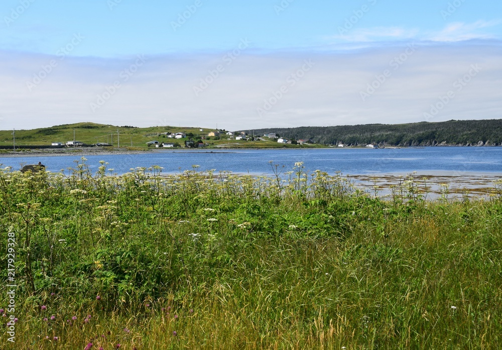 landscape around the Irish Loop; view across Trepassey harbour from Valna Fad towards the town of Trepassey , Avalon peninsula Newfoundland Canada