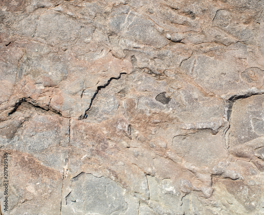Rough texture of ferruginous clayey bed Rough texture of ferruginous clayey bed