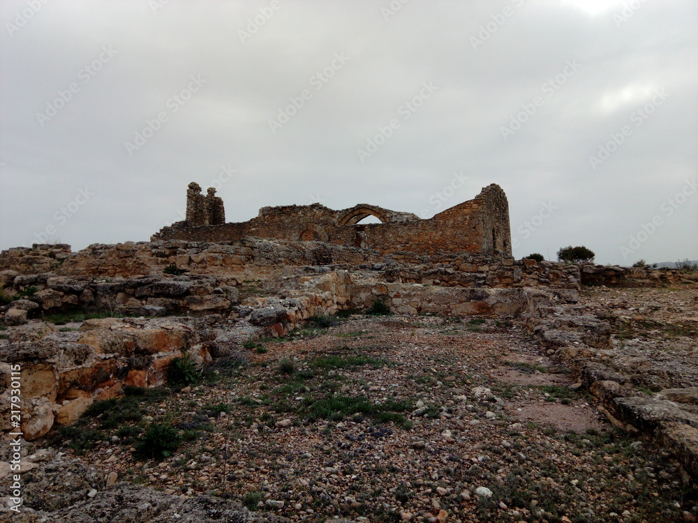 Arqueología de Recópolis Arqueología de Recópolis