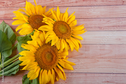 Bright bouquet of three yellow sunflowers laying on light brown wooden background