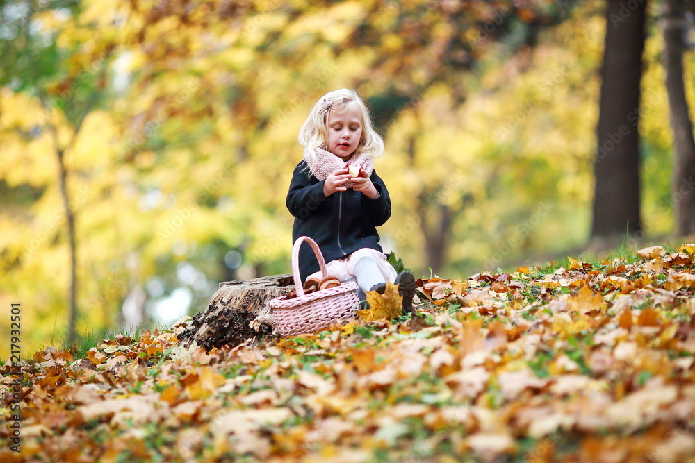 A little girl collects and eats apples in the autumn garden. A little girl collects and eats apples in the autumn garden.