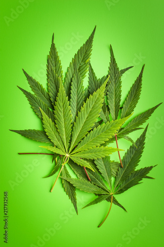Green cannabis leaves.