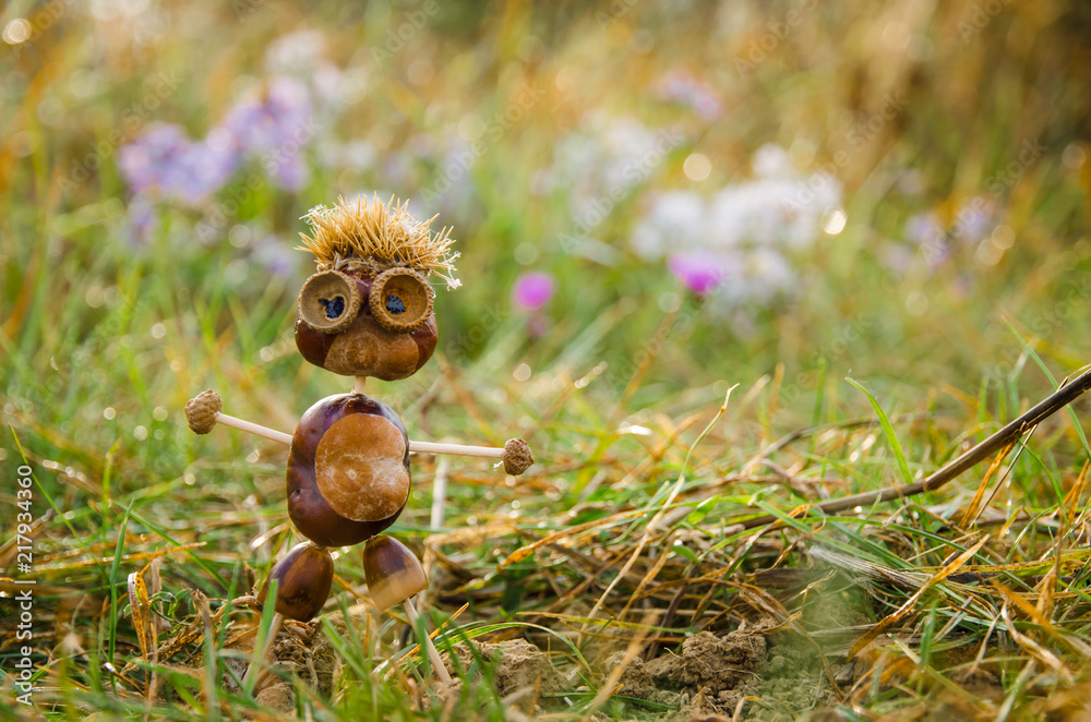 Obraz premium autumn decoration