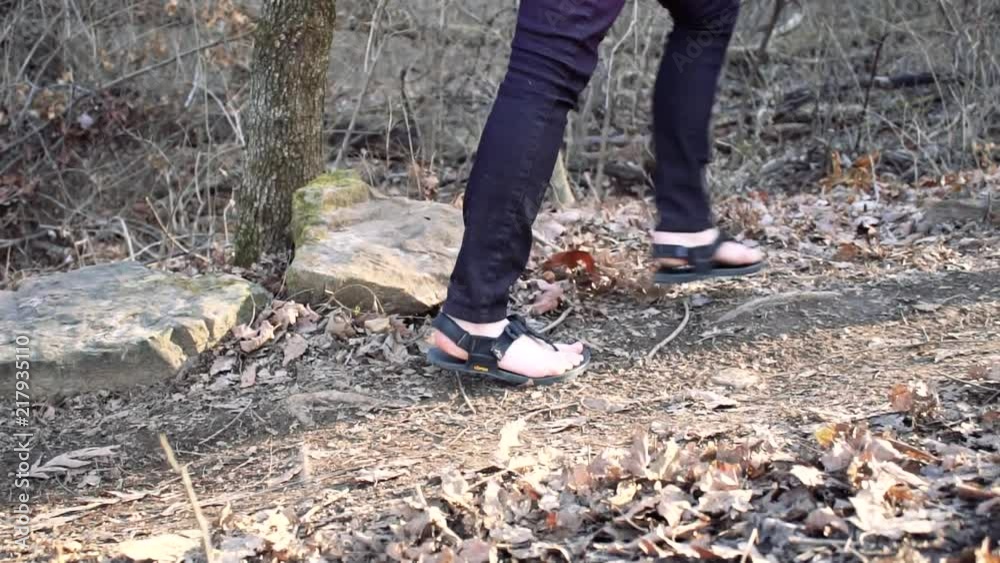 Closeup shot of hikers legs walking through the forest on a trail Closeup shot of hikers legs walking through the forest on a trail