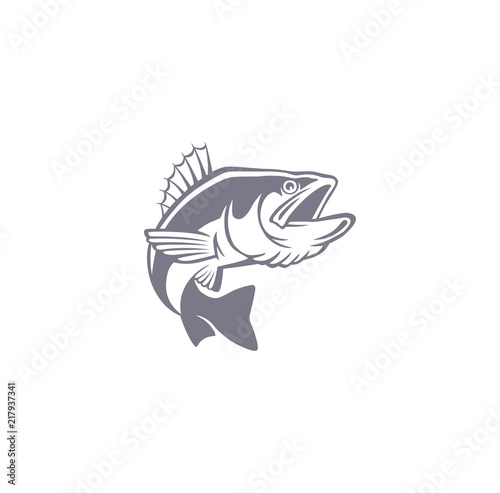 perch fishing