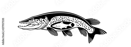pike fish logo