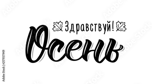 Hello Autumn. Trendy hand lettering quote in Russian, fashion graphics, art print for posters and greeting cards design. Cyrillic calligraphic isolated quote in black ink. Vector