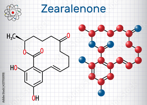 Zearalenone (ZEN) mycotoxin molecule. Sheet of paper in a cage. Structural chemical formula and molecule model photo