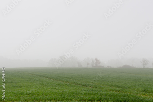 misty landscape of farmers crops 