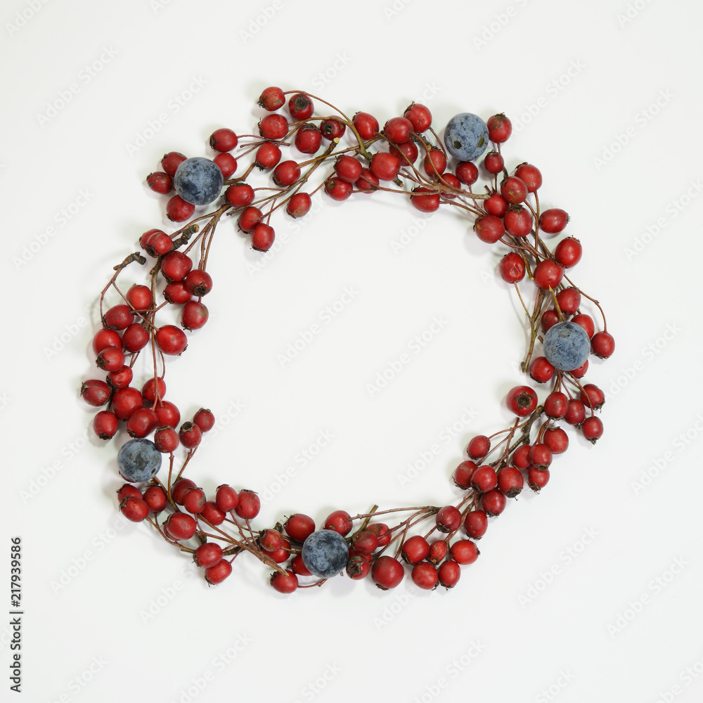 Frame of hawthorn andblackthorn berries. Autumn berries concept with space for text. Top view, flat lay Frame of hawthorn andblackthorn berries. Autumn berries concept with space for text. Top view, flat lay