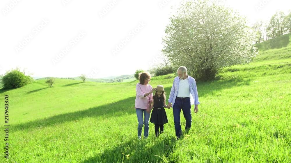 Senior couple with granddaughter outside in spring nature, walking. Senior couple with granddaughter outside in spring nature, walking.