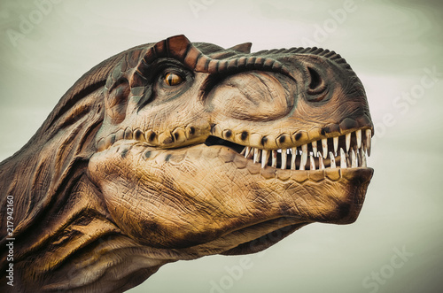 Close up shot from a head Tyrannosaurus Rex photo