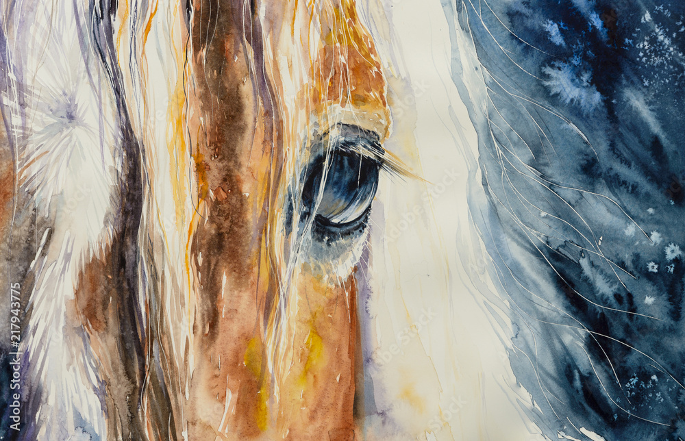 Naklejka Zakończenie piękny konia oko. Obraz tworzący z akwarelami.