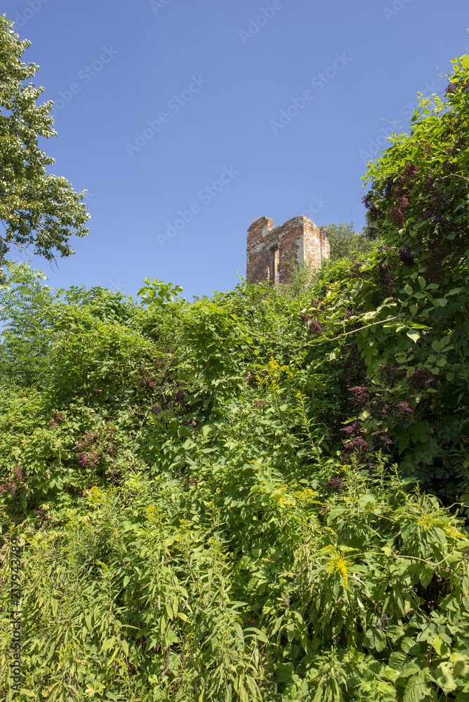 Old castle in Zawieprzyce