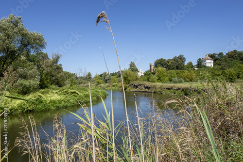 Wieprz river near Zawieprzyce photo