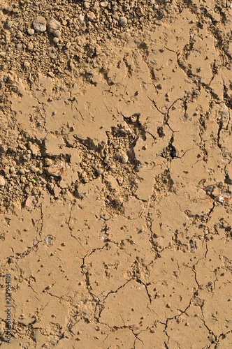 Closeup of cracked and dried out brown sandy soil.