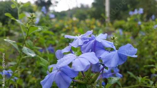 Obraz na płótnie La naturaleza es simplemente hermosa ❀ ❣