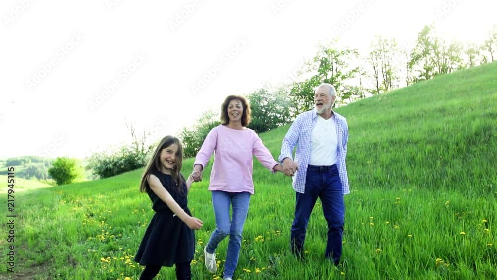 Senior couple with granddaughter outside in spring nature, walking. Senior couple with granddaughter outside in spring nature, walking.