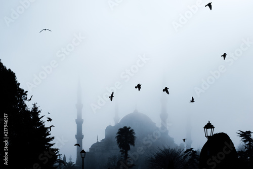 The Blue Mosque (Sultan Ahmet Camii), Istanbul, Turkey photo