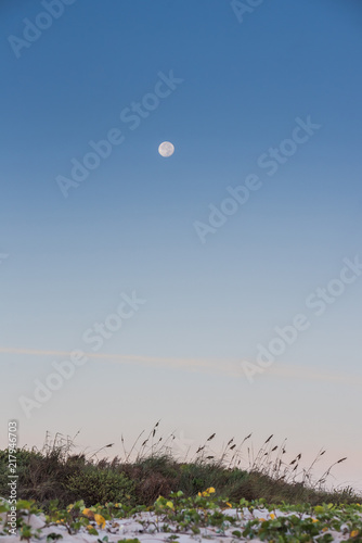 Morning on the beach photo