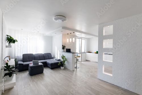 Bright open space of a loft apartment