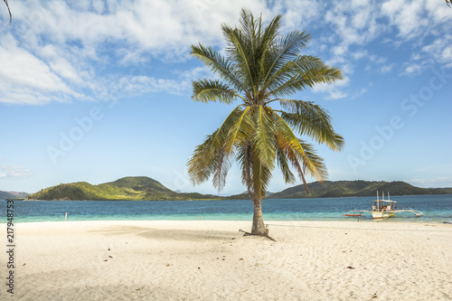 Fototapeta Naklejka Na Ścianę i Meble -  Beautiful palm tree in sunny beach and sea scenery