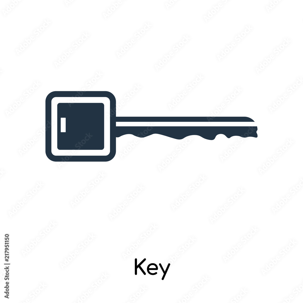 Key icon vector isolated on white background, Key sign