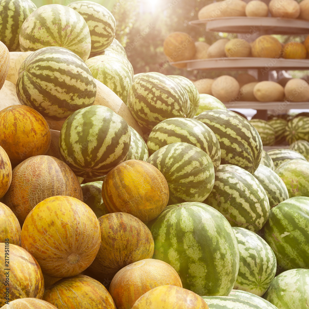 Group of fresh ripe green watermelons and yellow sweet melons Group of fresh ripe green watermelons and yellow sweet melons